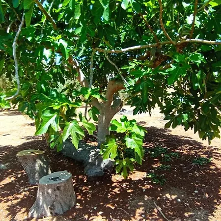 Tenuta Le Stornare Ugento